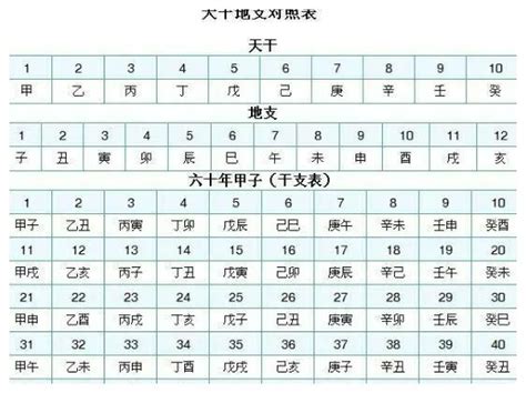 1995年天干地支|在线日期天干地支计算器